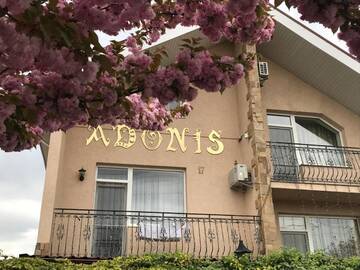 Фотографии Гостевой дом Adonis г. Ужгород (Украина) №4 Фото Гостевой дом Adonis г. Ужгород 4