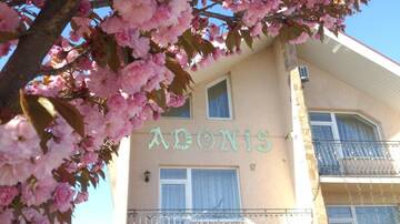 Фотографии Гостевой дом Adonis г. Ужгород (Украина) №1 Фото Гостевой дом Adonis г. Ужгород 1