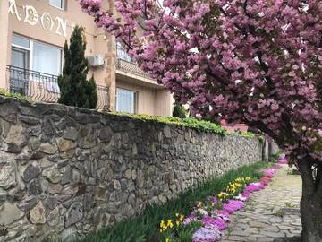 Фотографии Гостевой дом Adonis г. Ужгород (Украина) №3 Фото Гостевой дом Adonis г. Ужгород 3