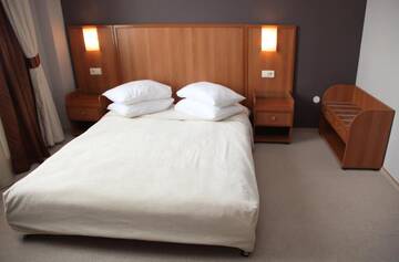 Фото номера Двухместный номер бизнес-класса с 1 кроватью Отель Hotel Praha г. Ужгород 7