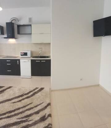Фото номера Апартаменты Апартаменты Apartment 18 Mynaiska - n.Silpo (1) г. Ужгород 28