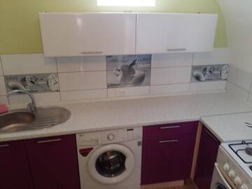 Фото номера Апартаменты Апарт-отели Uzh Apartments г. Ужгород 6