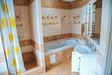 Фото номера Семейный люкс Хостелы Alina Hotel &amp; Hostel г. Ужгород 6