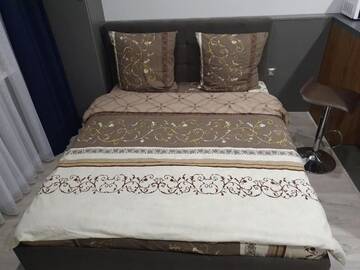 Фото номера Апартаменты Делюкс Апартаменты Silver Star Apartment г. Ужгород 19