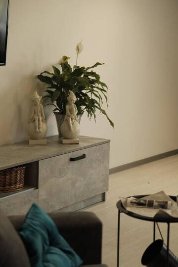 Фото номера Апартаменты Делюкс Апартаменты Uzhorod 3 room lovely house г. Ужгород 10