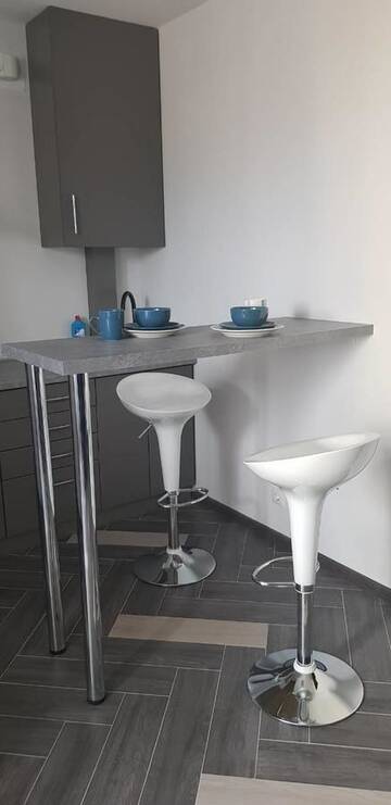 Фото номера Апартаменты Делюкс Апартаменты Silver Apartments г. Ужгород 8