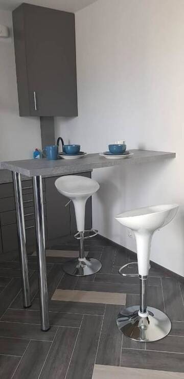 Фото номера Апартаменты Делюкс Апартаменты Silver Apartments г. Ужгород 13