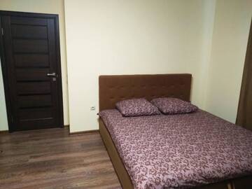 Фото номера Апартаменты Делюкс Апартаменты Apartments in Uzhgorod for you. г. Ужгород 12