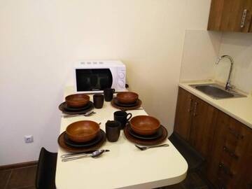 Фото номера Апартаменты Делюкс Апартаменты Apartments in Uzhgorod for you. г. Ужгород 28