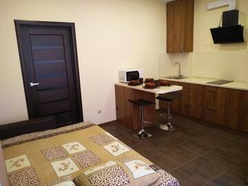 Фото номера Апартаменты Делюкс Апартаменты Apartments in Uzhgorod for you. г. Ужгород 29
