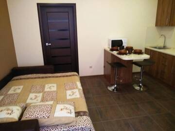 Фото номера Апартаменты Делюкс Апартаменты Apartments in Uzhgorod for you. г. Ужгород 27
