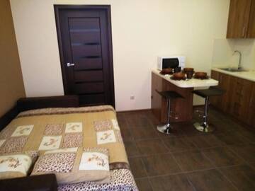 Фото номера Апартаменты Делюкс Апартаменты Apartments in Uzhgorod for you. г. Ужгород 7