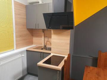 Фото номера Апартаменты с 2 спальнями Апартаменты VIP apartment in the centre г. Ужгород 11