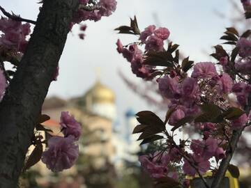 Фото номера Улучшенные апартаменты Апартаменты Сучасна квартира в центрі міста г. Ужгород 8