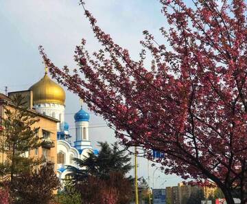 Фото номера Улучшенные апартаменты Апартаменты Сучасна квартира в центрі міста г. Ужгород 9