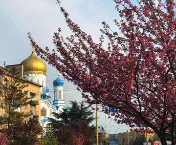 Фото номера Улучшенные апартаменты Апартаменты Сучасна квартира в центрі міста г. Ужгород 31