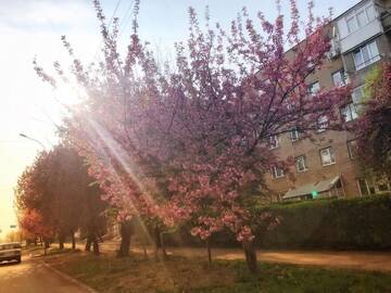 Фото номера Улучшенные апартаменты Апартаменты Сучасна квартира в центрі міста г. Ужгород 10